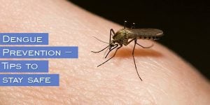 Dengue Prevention – Tips to stay safe - KDAH Blog - Health & Fitness ...